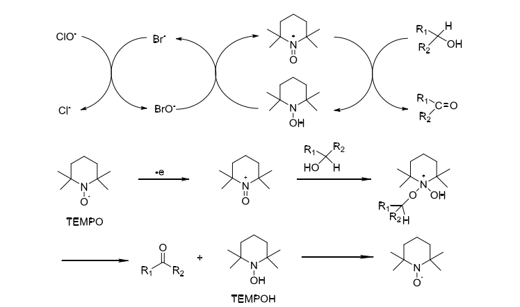 TEMPO结构性质及其催化氧化体系